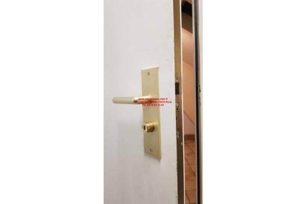 porte blindee fichet palieris